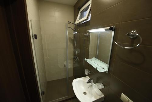 a bathroom with a sink and a shower and a mirror at Family Hotel Avlabar in Tbilisi City