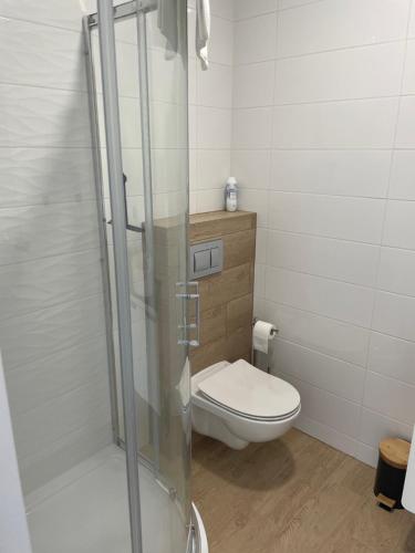 a bathroom with a toilet and a glass shower at Complex Apartamenty - Po Schodkach in Koszalin