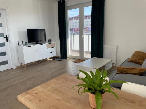 a living room with a couch and a tv at Complex Apartamenty - Po Schodkach in Koszalin