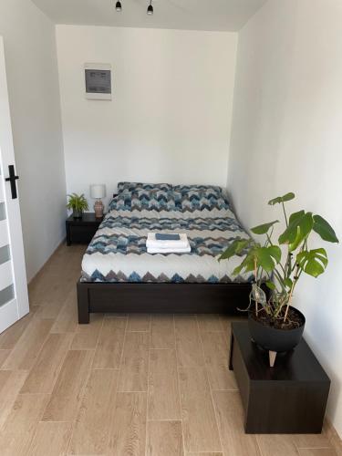 a bedroom with a bed and a potted plant at Complex Apartamenty - Po Schodkach in Koszalin