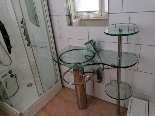 a bathroom with two glass shelves next to a shower at Ferienwohnung Civrilli 3 in Dippelsdorf