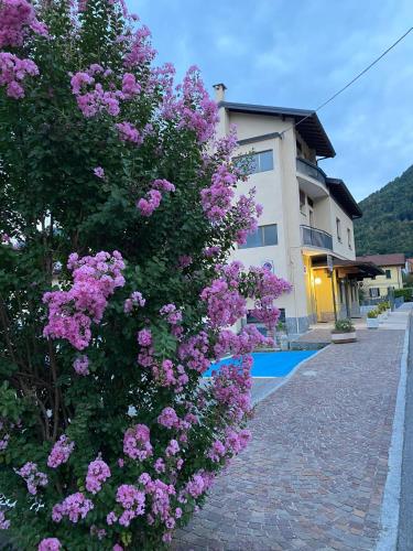 a bush with pink flowers in front of a building at EderaRooms in Cerano d'Intelvi