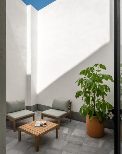 a patio with two benches and a table and a potted plant at BYPILLOW La Sal in Cádiz