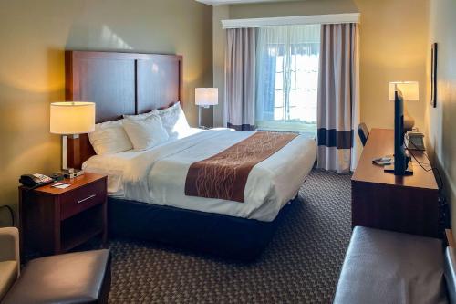 Llit o llits en una habitació de Comfort Inn & Suites Midtown