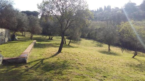 a park with a bench in a field with trees at Charming 4-Bed Cottage 15 minutes from Florence in Impruneta