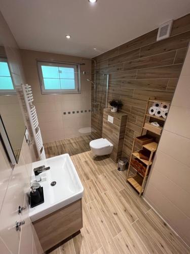 W łazience znajduje się umywalka, toaleta i prysznic. w obiekcie Apartmán Nad Úpou w mieście Pec pod Sněžkou