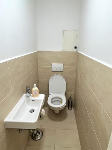 Unique Apartment Center Vienna