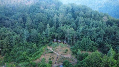 an aerial view of a house in the middle of a forest at Holiday bungalows Pajkovir in Kolašin