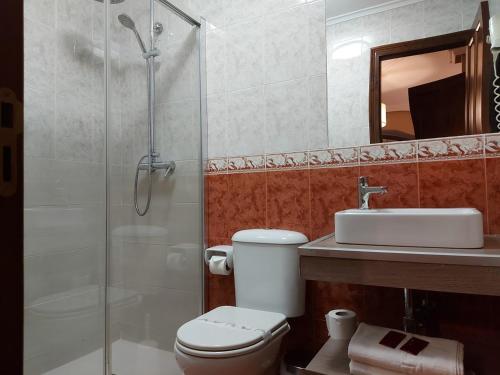 a bathroom with a shower and a toilet and a sink at Hotel Rural Entremontes in Cangas de Onís