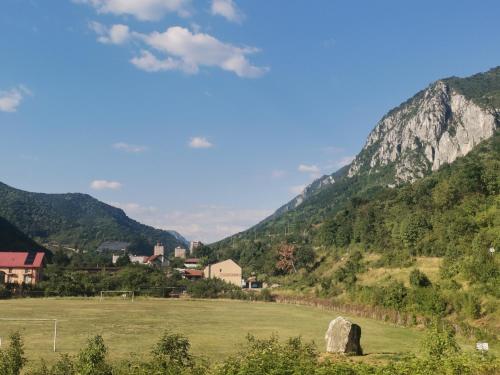 a village in a field with mountains in the background at VILA ANA in Băile Herculane