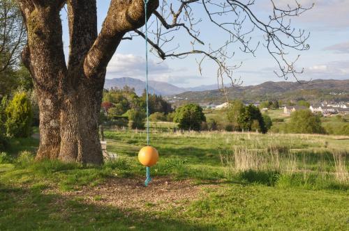 an orange swing hanging from a tree in a field at Old Kyle Farm in Kyleakin