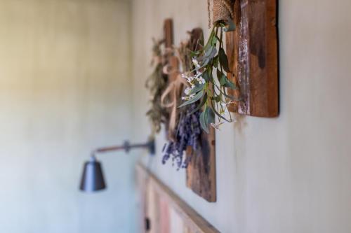 a wall with a bunch of plants on it at Relax B&B Lavendine Pure in Genk
