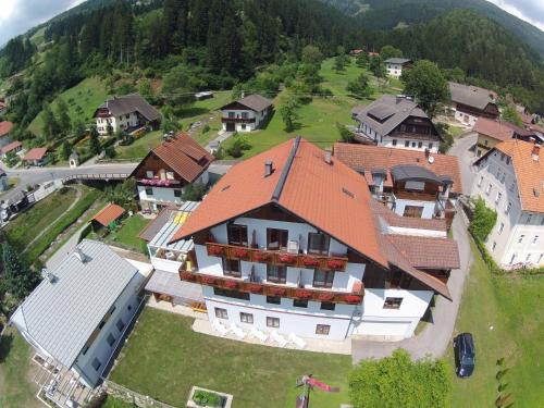 an aerial view of a house in a village at Restaurant - Café - Pension HASSLER in Berg im Drautal