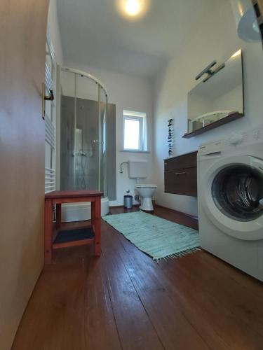 Koupelna v ubytování Mill House Apartment and Camping