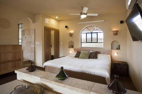 a bedroom with a large bed and a television at Arava Land in Zuqim