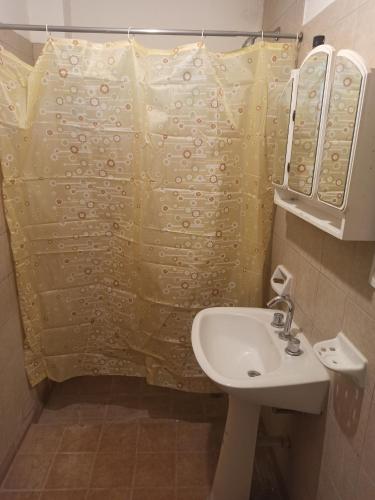 uma casa de banho com um lavatório e uma cortina de chuveiro em Hospedaje Turisticos. em Libertador General San Martín