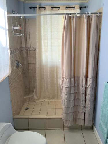 a bathroom with a shower curtain and a toilet at Marveys Place Apartment in Castries