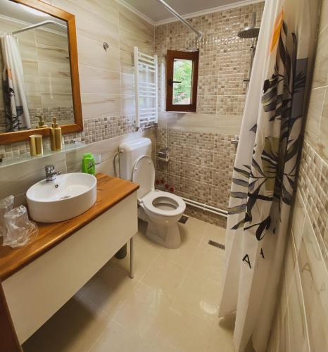 a bathroom with a white sink and a toilet at Casa cu vitralii in Slănic-Moldova