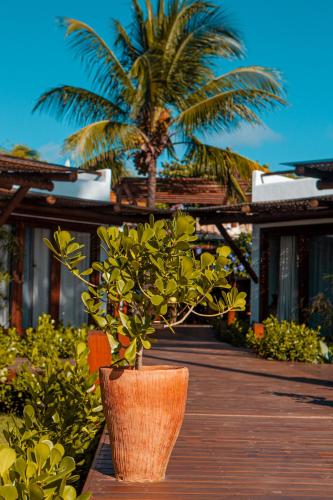 Taman di luar MAYIM VILLA