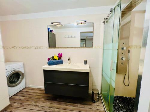 a bathroom with a sink and a washing machine at Jolie petite Villa sur une presqu’île in Le Gosier
