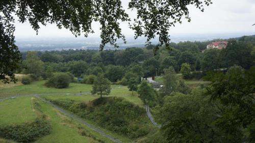 a view from the top of a hill with a tree at Fantazja Góra Św Anny in Góra Świętej Anny