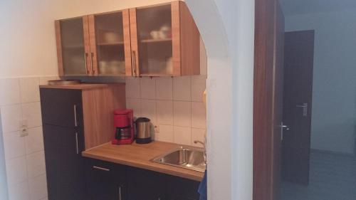 Virtuvė arba virtuvėlė apgyvendinimo įstaigoje Appart-Ascolino
