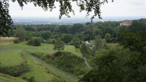 a view from the top of a hill with trees at Fantazja Góra Św Anny in Góra Świętej Anny