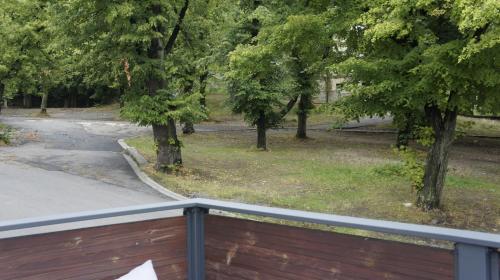 a view of a park with trees and a fence at Fantazja Góra Św Anny in Góra Świętej Anny