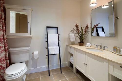 bagno con servizi igienici, lavandino e specchio di Clay Brook Hotel at Sugarbush a Warren