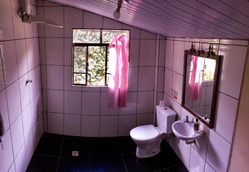 a bathroom with a toilet and a sink at Nuh Hostel in Ouro Preto