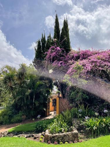 a house with a fountain in a garden at Casa Magdalena Hotel Boutique in Morelia