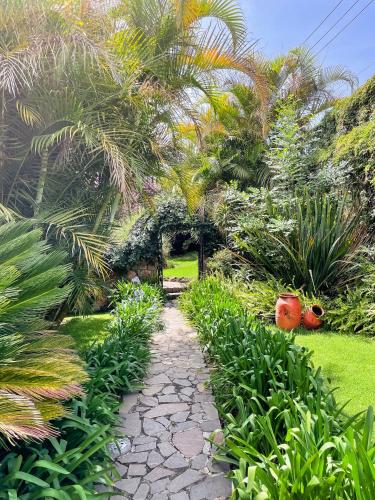 a stone path in a garden with palm trees at Casa Magdalena Hotel Boutique in Morelia