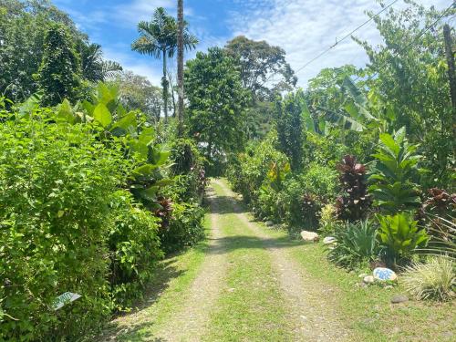 Delroy´s Guest House – Photos 3