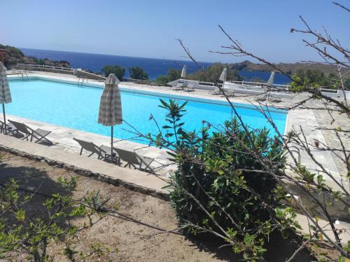 a large swimming pool with chairs and umbrellas at Seas the day in Mýkonos City