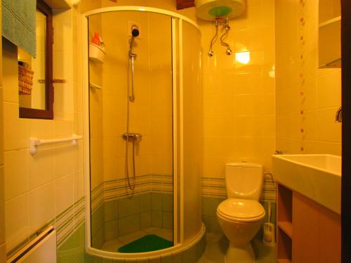 a bathroom with a shower and a toilet and a sink at Domek Pod Różami in Poddąbie