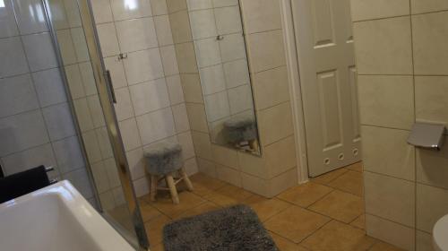 a bathroom with a shower with a sink and a stool at Fantazja Góra Św Anny in Góra Świętej Anny