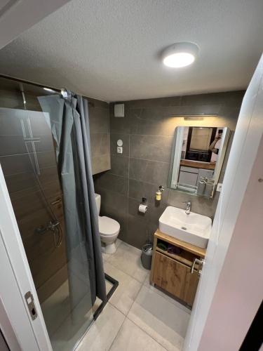 a bathroom with a toilet and a sink and a shower at Patche Residence - A Wine Cellar Hideaway in the Historic Home of Revolutionary Metodi Patche in Ohrid