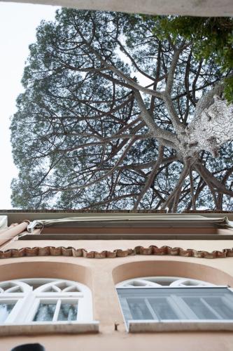 La Casa di Carla – Photos 3