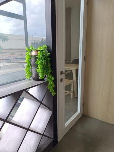 a plant sitting on a bench next to a door at Maria Ines Hotel Suite in Oaxaca City