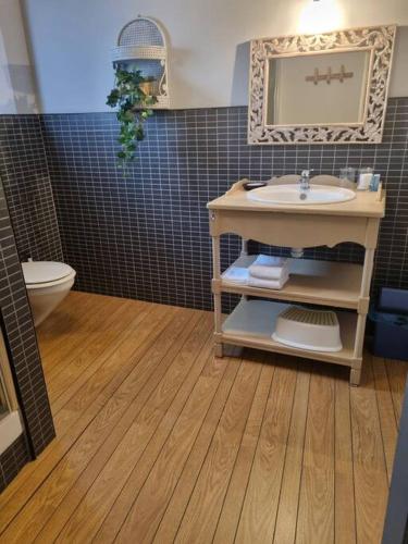 une salle de bain avec un lavabo et des toilettes dans l'établissement La Marceline 1 - Appart entre mer et canal du midi en pays Cathare, à Saint-Marcel