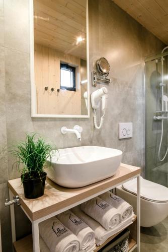 a bathroom with a sink and a toilet and a mirror at Czarne Domki in Zwierzyniec