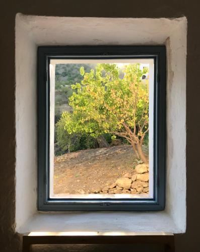 Φωτογραφία από το άλμπουμ του Casa Amigos Sorvilan - La Almendra σε Sorvilán