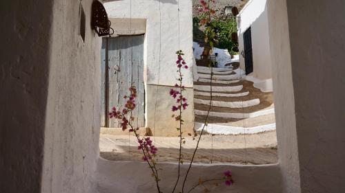 Φωτογραφία από το άλμπουμ του Casa Amigos Sorvilan - La Almendra σε Sorvilán