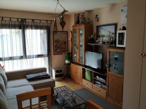 a living room with a couch and a tv at Apartamento en escarrilla, sallent de gallego in Sallent de Gállego