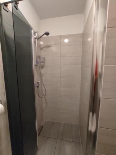 y baño con ducha y puerta de cristal. en Domek u Hornika, en Dursztyn