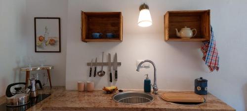 a kitchen with a sink and a counter top at Graslandhof in Neumarkt in Steiermark