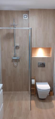 a bathroom with a shower and a toilet and a sink at Oasis, Old Town Apartment in Elblag
