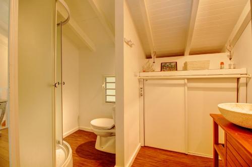 łazienka z toaletą i prysznicem w obiekcie Crystal Beach Appart vue mer 7 à 9p, accès direct plage et piscine w mieście Sèze