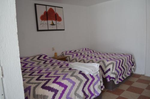 a bedroom with a bed and a picture on the wall at Vicalis Hotel, Villas y Glamping in San Sebastian Xolalpa