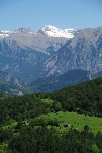 a green field with mountains in the background at Bungalows Peña Montañesa in Aínsa